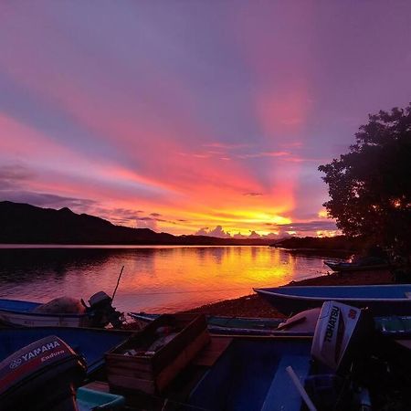 Lepanto Magica Cabana En Medio Del Bosque En Isla Venadoヴィラ エクステリア 写真