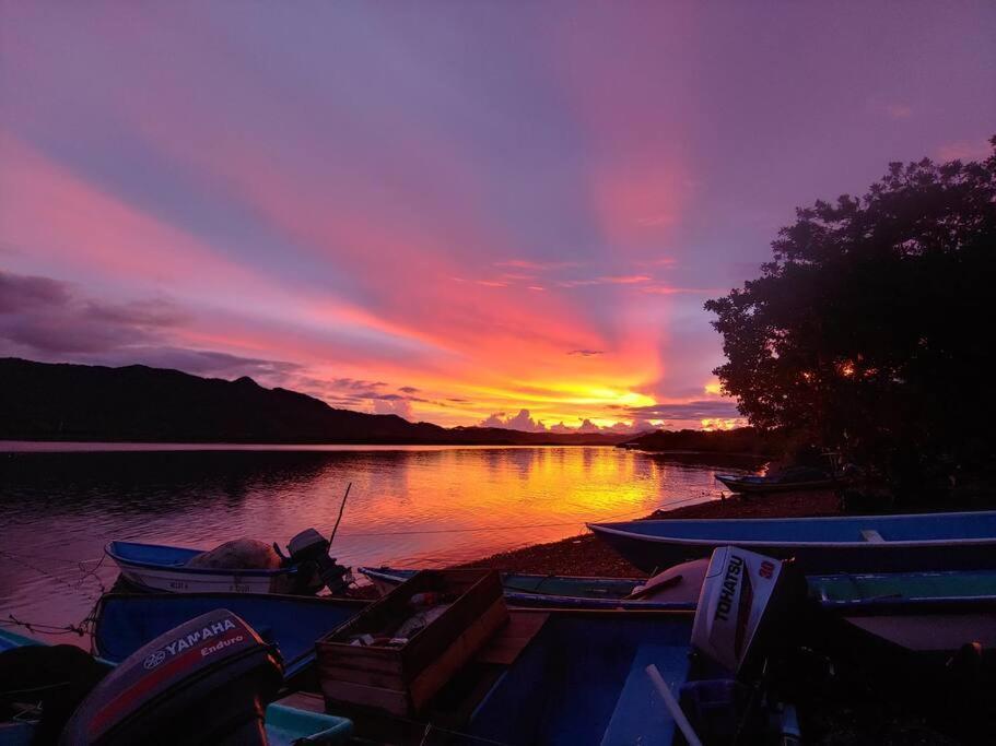 Lepanto Magica Cabana En Medio Del Bosque En Isla Venadoヴィラ エクステリア 写真