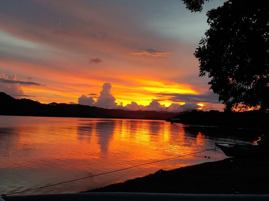 Lepanto Magica Cabana En Medio Del Bosque En Isla Venadoヴィラ エクステリア 写真