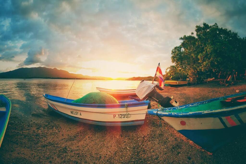 Lepanto Magica Cabana En Medio Del Bosque En Isla Venadoヴィラ エクステリア 写真